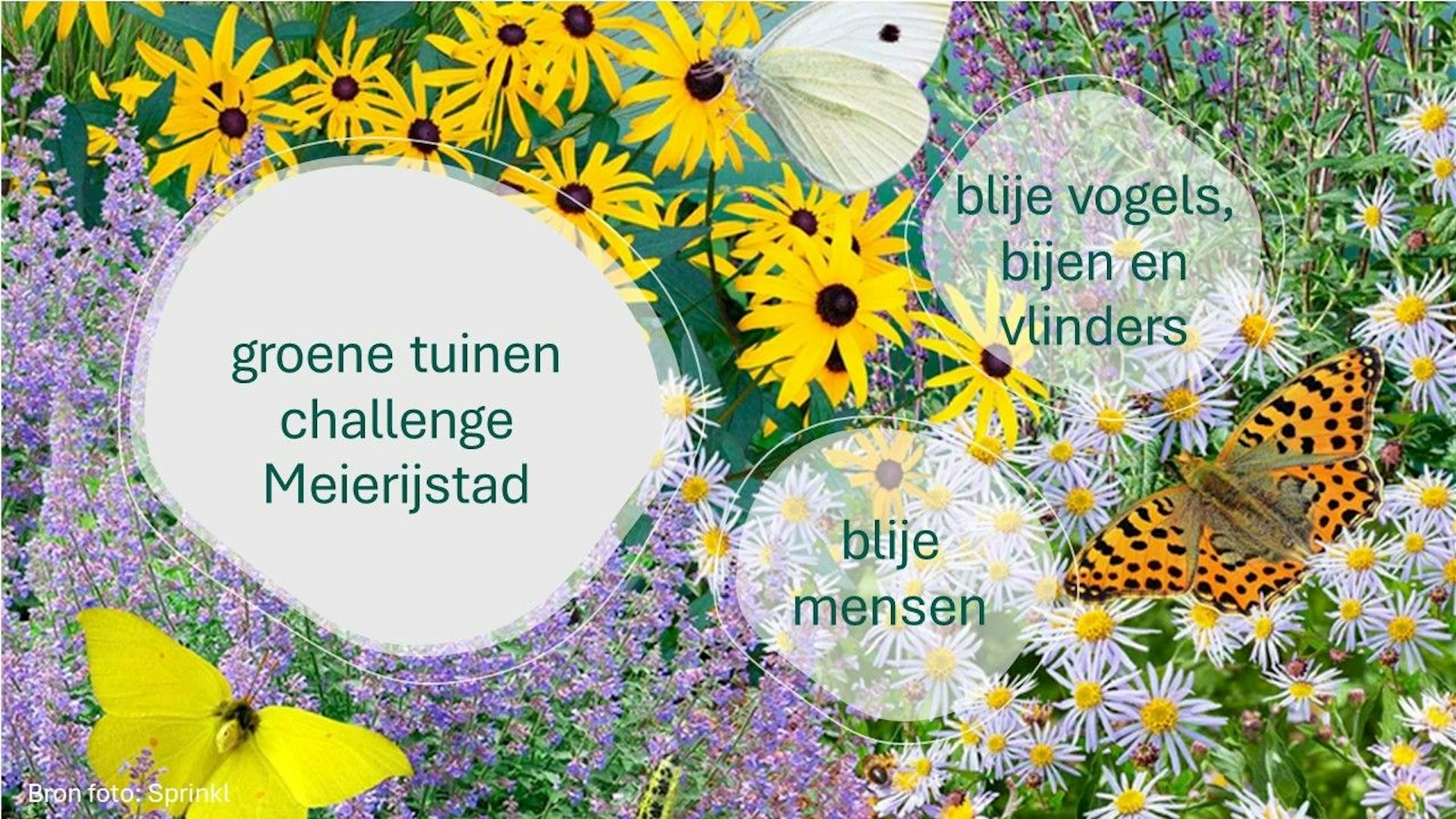 Groene tuinen challenge